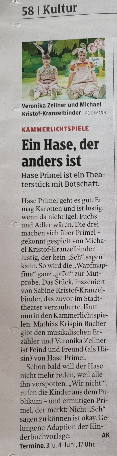 Kritik Kleine Zeitungx